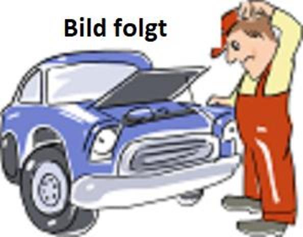 Bild des Artikels Taster mit Griff und Emblem Heckklappe Ford Ka 2008-